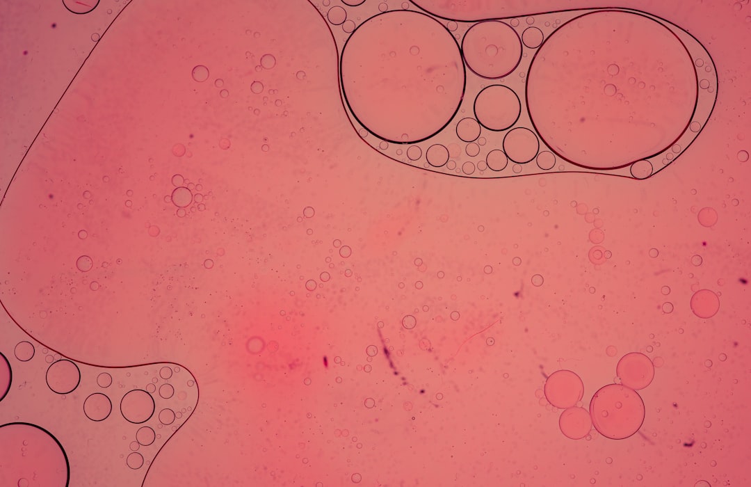 A Comprehensive Guide to IVF: From Preparation to Success