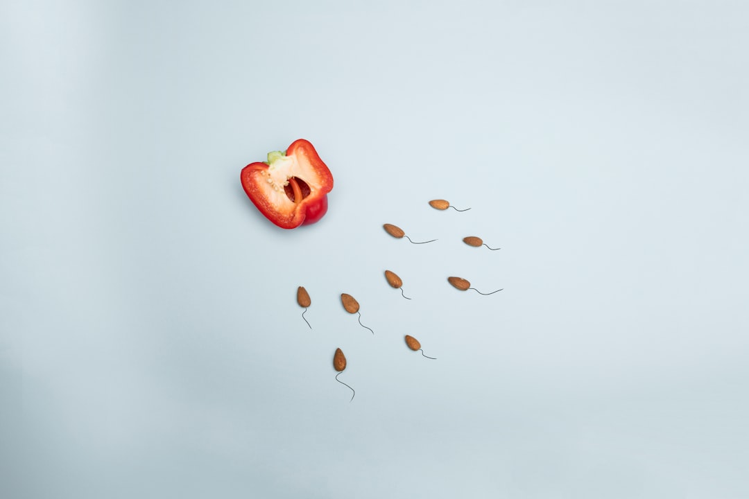 男性因素在试管婴儿中的重要性