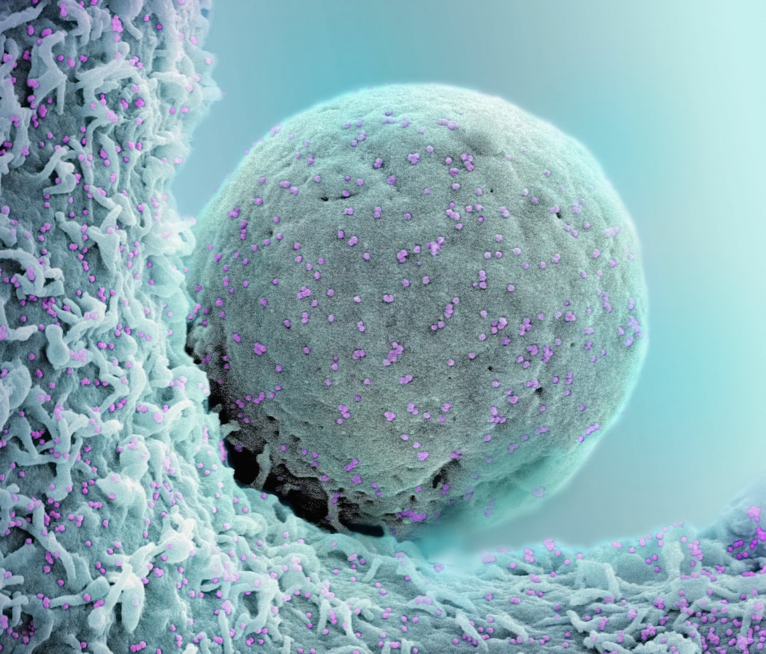 Understanding Biochemical Pregnancy in IVF: Causes and Prevention